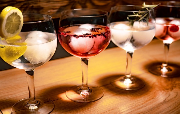 gin-verkostung-vils-bg4