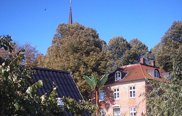 stadt-kultour-hamburg-gebaeude-natur