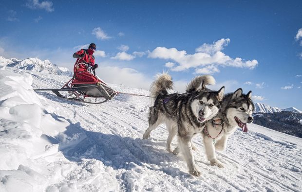 schlittenhundefahrt-telfs-bg1