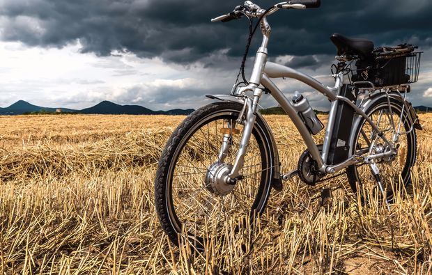mountainbike-tour-rust-am-neusiedlersee-fahren