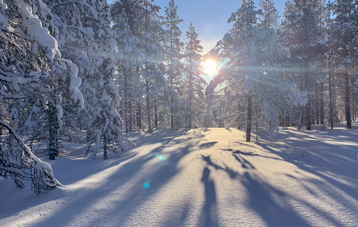 huskycamp-schweden-winter-bg5