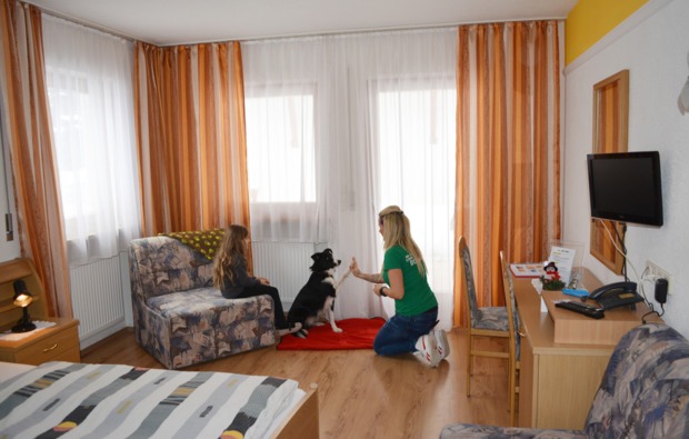 urlaub-mit-hund-steinhaus-im-ahrntal-betreuung