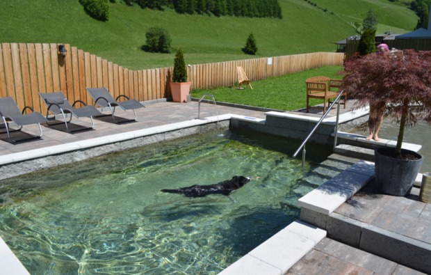 urlaub-mit-hund-steinhaus-im-ahrntal-pool