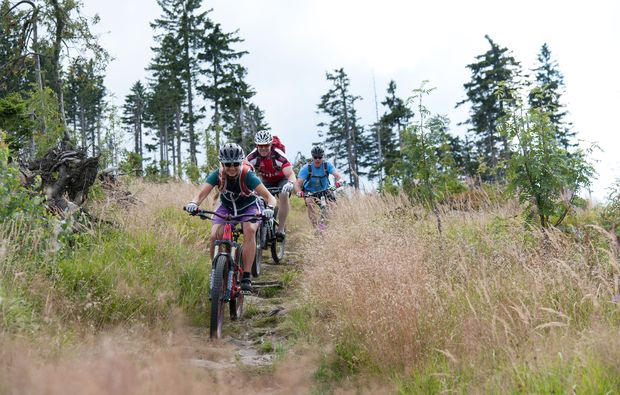 mountainbike-tour-viechtach-sport