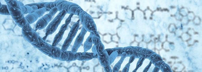 DNA Analyse & Persönlichkeitstest