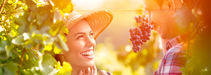 Weinreisen