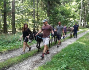 Lichtenau im waldviertel neue menschen kennenlernen 