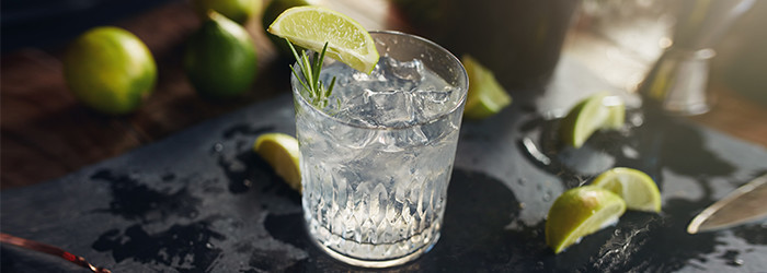 Gin Verkostung