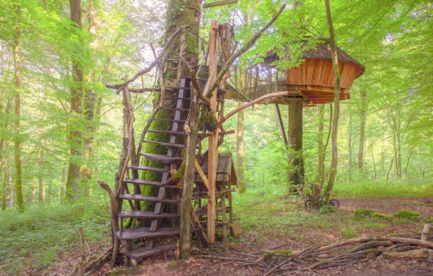 baumhaus-uebernachtung-guyonvelle-natur