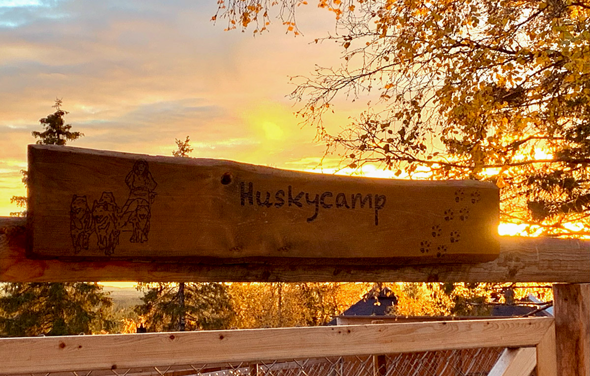 huskycamp-schweden-herbst-bg7