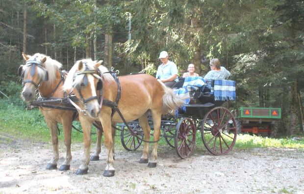 romantische-pferdeschlittenfahrt-fuer-zwei-wildalpen-romantik