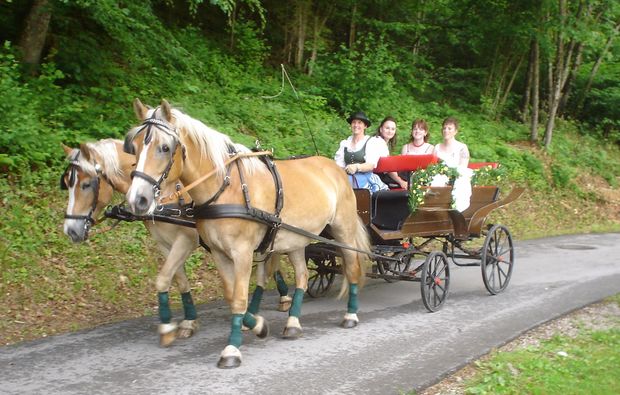 romantische-pferdeschlittenfahrt-fuer-zwei-wildalpen-romantisch