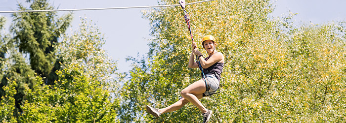 Flying Fox