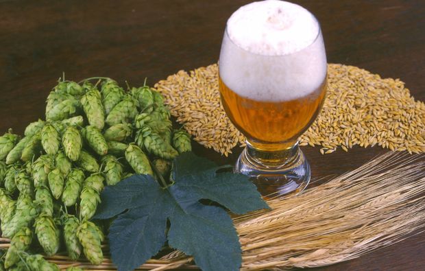 bier-brauen-sevelen