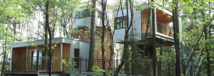 Baumhaus Übernachtung