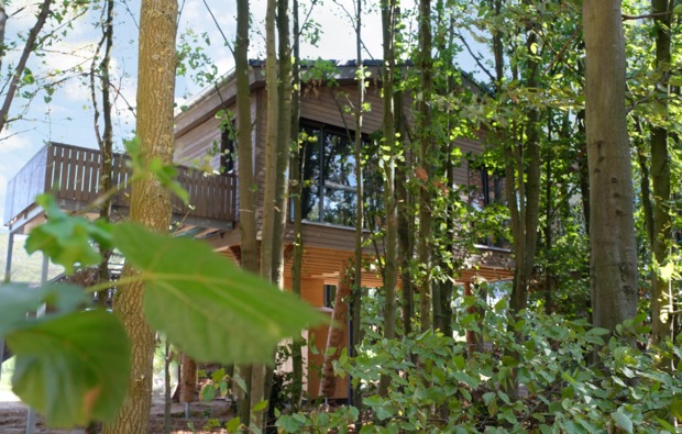 Übernachtung im Baumchalet in Neuss mydays