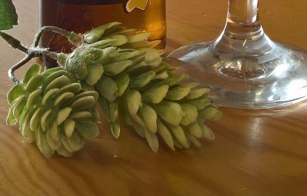 stabio-bierbrauen-bierdegustation