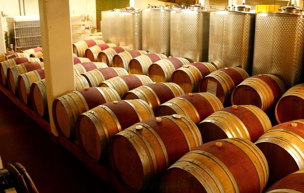 wein-degustation-waadt