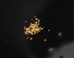 gold-suchen_10