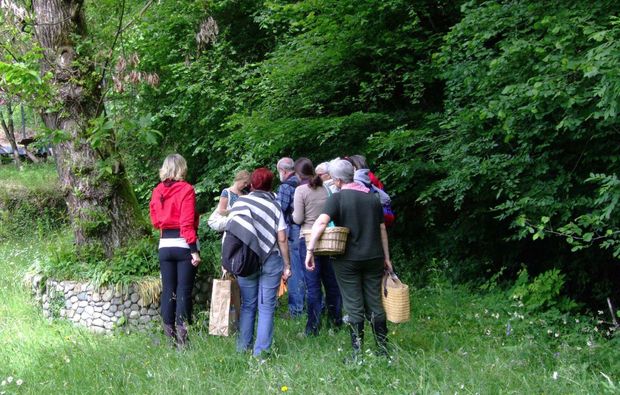 kraeuterwanderung-natur-reise-monteggio-ausflug