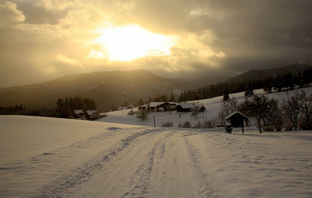 bio-und-natur-reisen-fischbach-winter