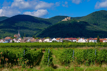 Neustadt an der Weinstrasse