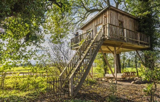 Baumhaushotel - Übernachtung im Baumhaus Engelschoff | mydays