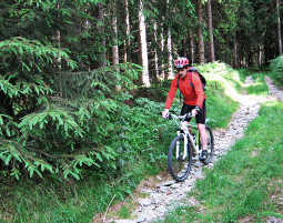 Mountainbike-Kurs Neuhaus am Rennweg