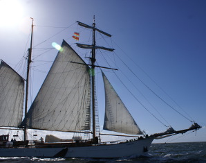 Kulinarische Segeltrns