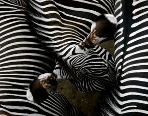 Fotokurs Leipzig - Im Fotoworkshop richtig fotografieren lernen