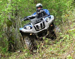Quad Tour