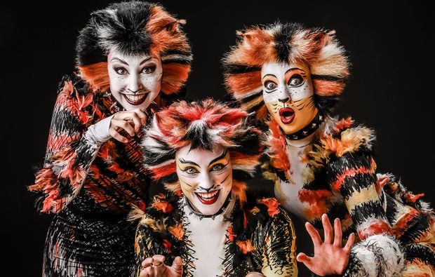 musical-dinner-korschenbroich-liedberg-cats