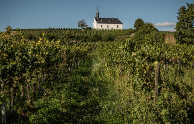 weinbergwanderung-ahrweiler-bg1