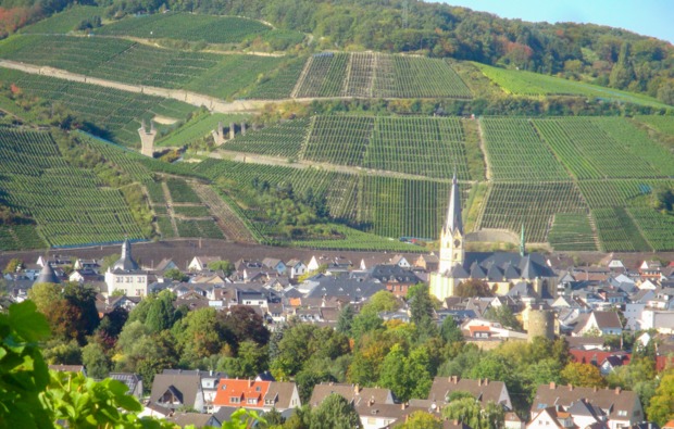 weinbergwanderung-ahrweiler-bg7