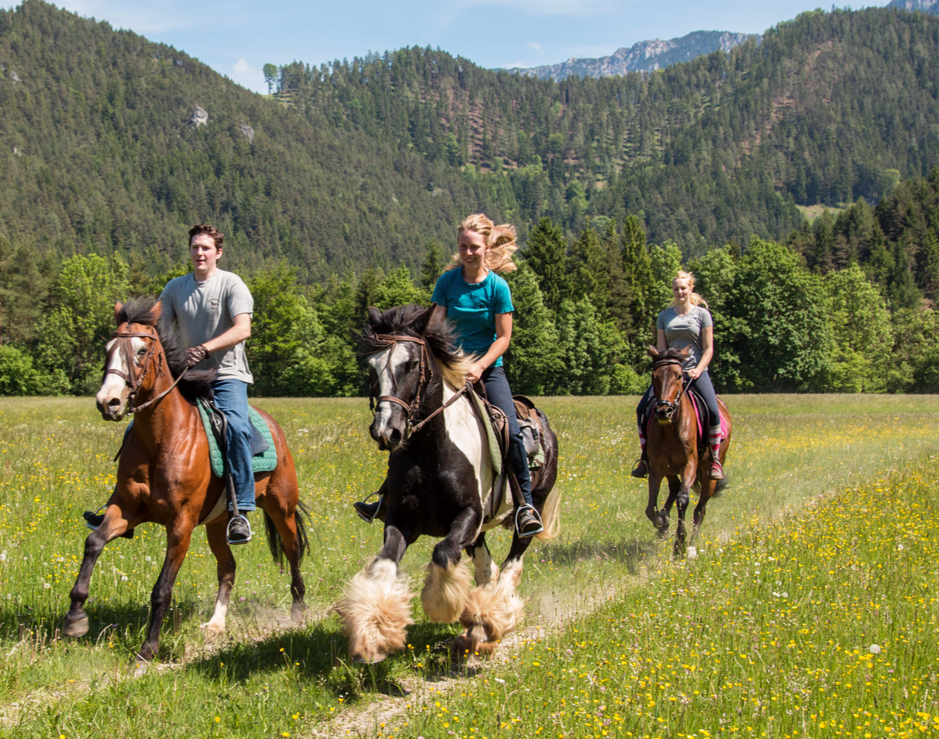 Pferde-Abenteuer Sankt Aegyd am Neuwalde