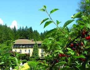 Kulinarische Reise