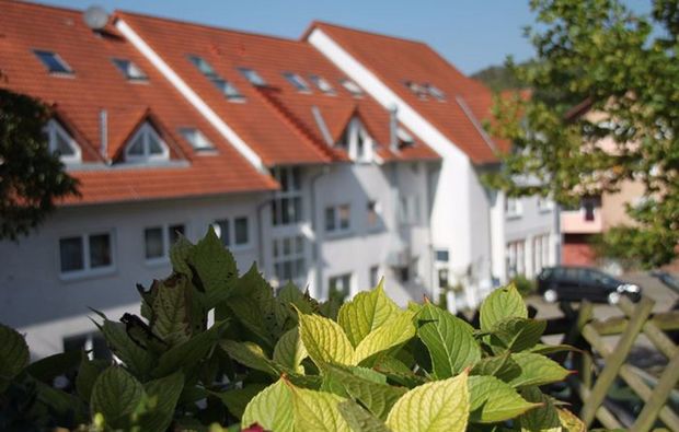 therme-sinsheim-uebernachten