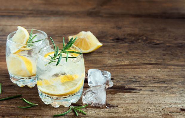 gin-tasting-hannover-seminar
