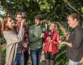 Weinbergwanderung