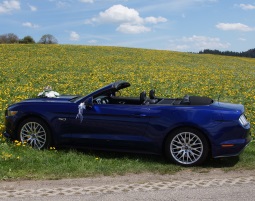 Ford Mustang fahren
