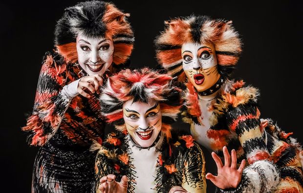 musical-dinner-wiesenthau-cats