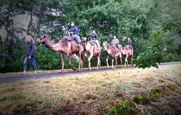 kamel-reiten-hiddingen