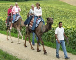 frauen anzeigen berlin dornbirn frauen anzeigen berlin dornbirn