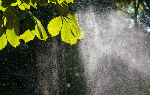 aquatic-fototour-berlin-spruehregen