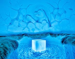 Iglu-Übernachtung - Mayrhofen im 4er-Iglu - Abendessen