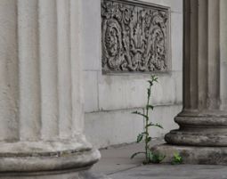 Fotokurs Hannover - Im Fotoworkshop richtig fotografieren lernen Fotokurs Hannover - Im Fotoworkshop richtig fotografieren lernen