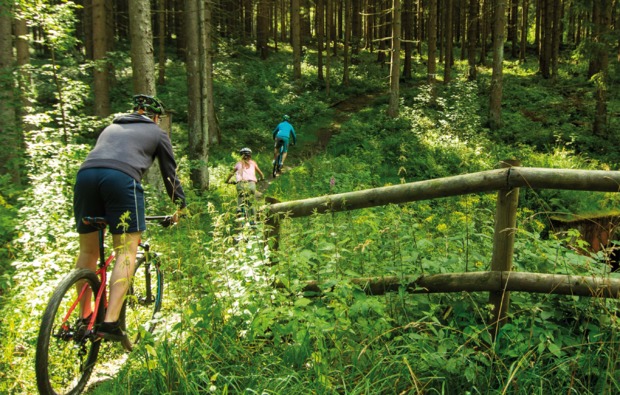 mountainbike-kurs-clausthal-zellerfeld-gelaende