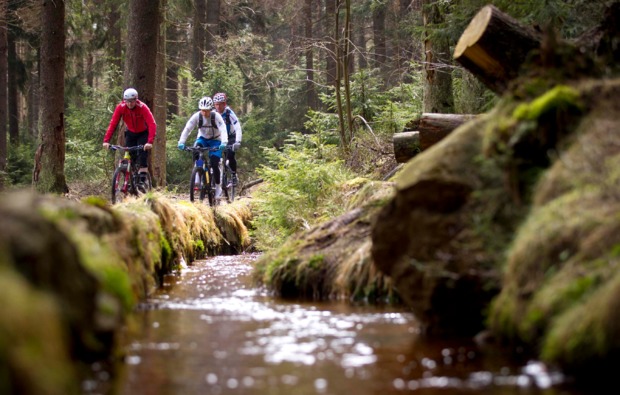 mountainbike-kurs-clausthal-zellerfeld-wald