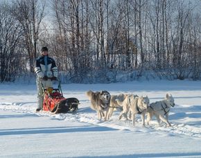 Schlittenhunde-Workshop