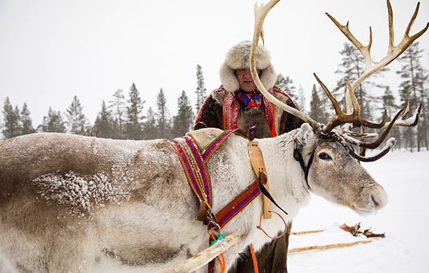 standort-gross_rentier_620x395_9